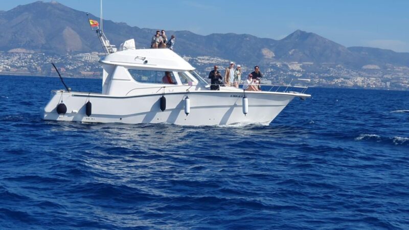 Fuengirola: Dolphin Watching Boat Trip  Fun for All Ages - Practical Tips for a Great Dolphin Watching Trip