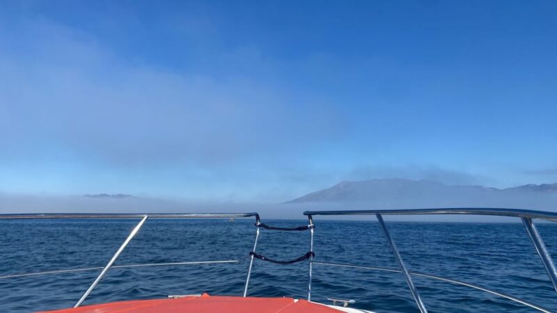 Fuengirola: Fantastic Dolphin Watching Yacht Tour with Drink - Drinks and Refreshments Onboard