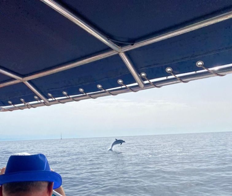 Fuengirola: Fantastic Dolphin Watching Yacht Tour with Drink - Expert Skipper and Guided Marine Insights
