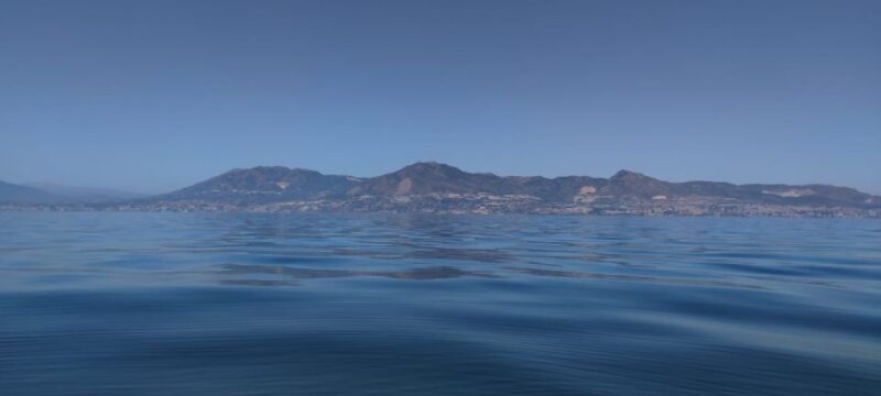 Fuengirola: Fantastic Dolphin Watching Yacht Tour with Drink - Customer Satisfaction and Review Highlights