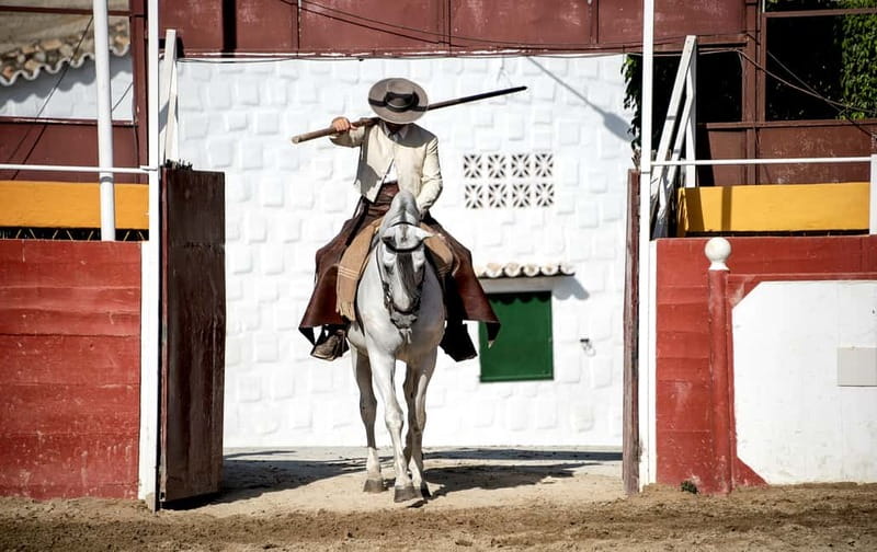 Fuengirola: Spanish Horse Show with Optional Dinner/Flamenco - Key Points