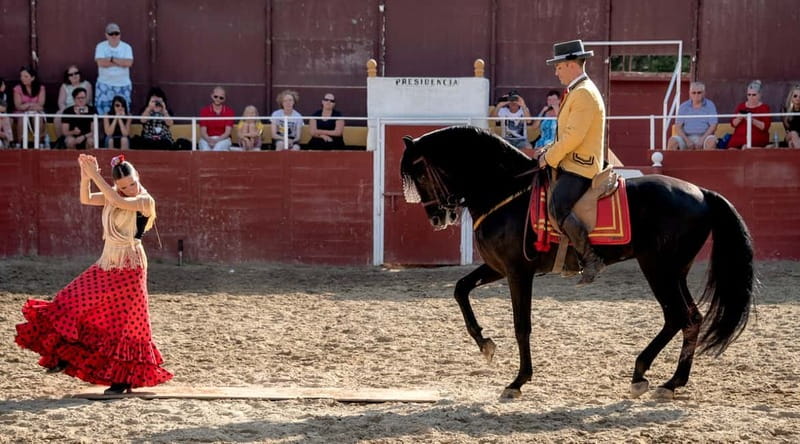Fuengirola: Spanish Horse Show with Optional Dinner/Flamenco - The Spectacular Cartujanos Horse Show in Fuengirola