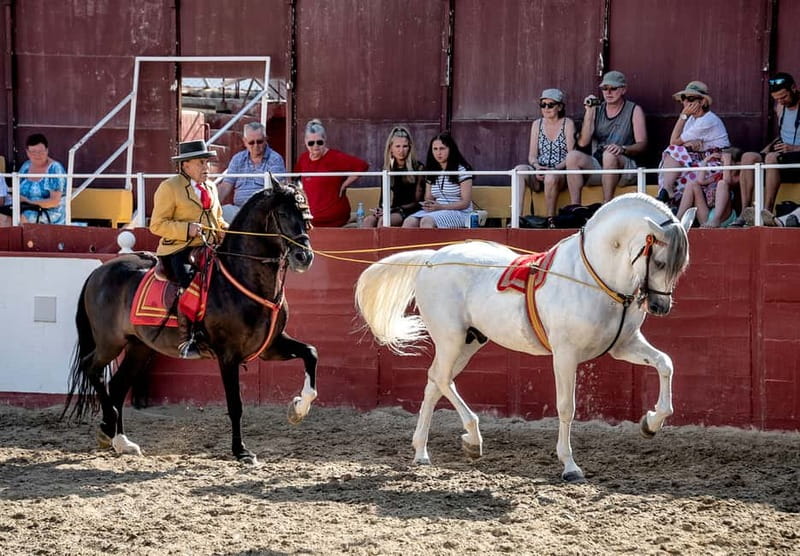 Fuengirola: Spanish Horse Show with Optional Dinner/Flamenco - Family Activities and Extra Experiences