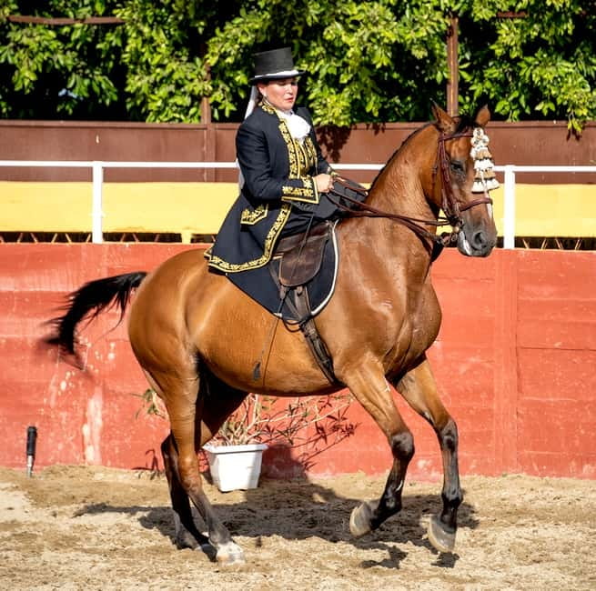 Fuengirola: Spanish Horse Show with Optional Dinner/Flamenco - Authentic Andalusian Atmosphere in a Family-Owned Setting