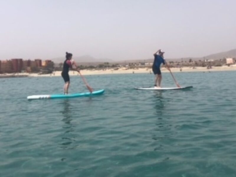 Fuerteventura: 1.5-Hour SUP Course - Caleta de Fuste - Discover Fuerteventuras Calm Waters with a 1.5-Hour SUP Course