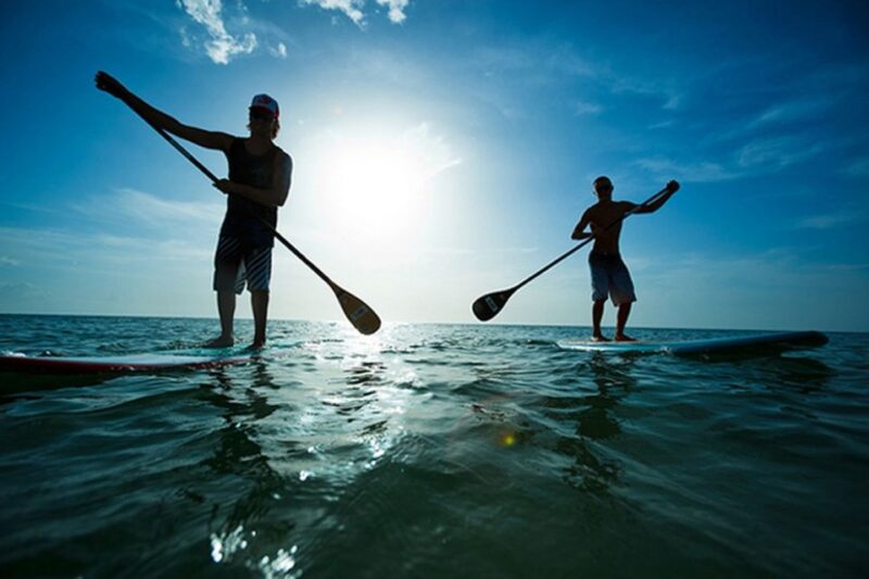 Fuerteventura: 1.5-Hour SUP Course - Caleta de Fuste - The Meeting Point at Eurostars Las Salinas in Caleta de Fuste
