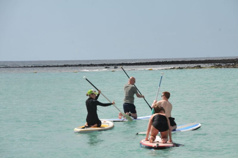 Fuerteventura: 1.5-Hour SUP Course - Caleta de Fuste - Learning Focus: Technique, Safety, and Coordination