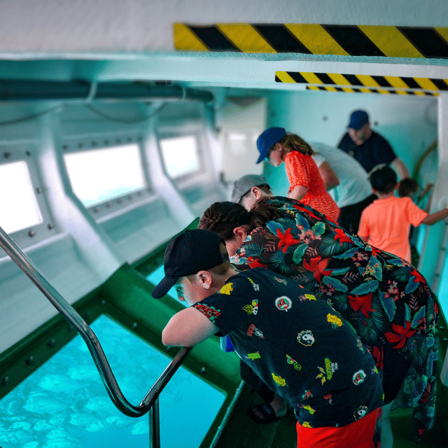 Fuerteventura: 1-Hour Mini Swim & Snorkel Cruise - Discover the Fuerteventura 1-Hour Mini Swim & Snorkel Cruise