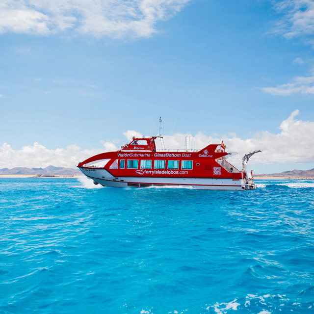 Fuerteventura: 1-Hour Mini Swim & Snorkel Cruise - Viewing Marine Life Through Panoramic Windows