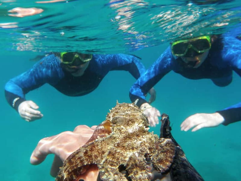 Fuerteventura: 1-hour private mini-cruise to Lobos Island - Accessibility and Family-Friendliness