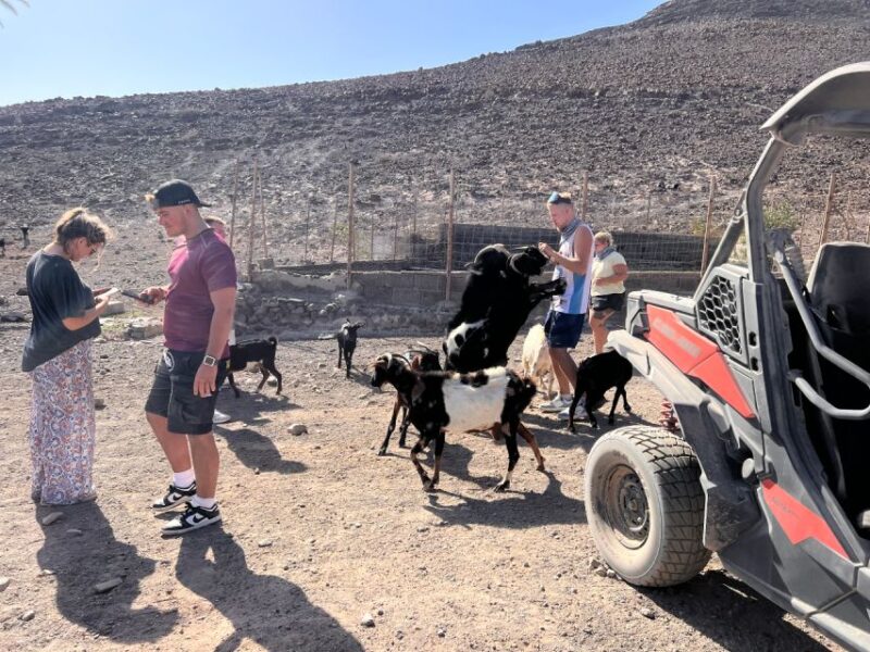 Fuerteventura : 2 hours Buggy Tour in Punta de Jandía - The Stops: Old Lighthouse and Playa de los Ojos