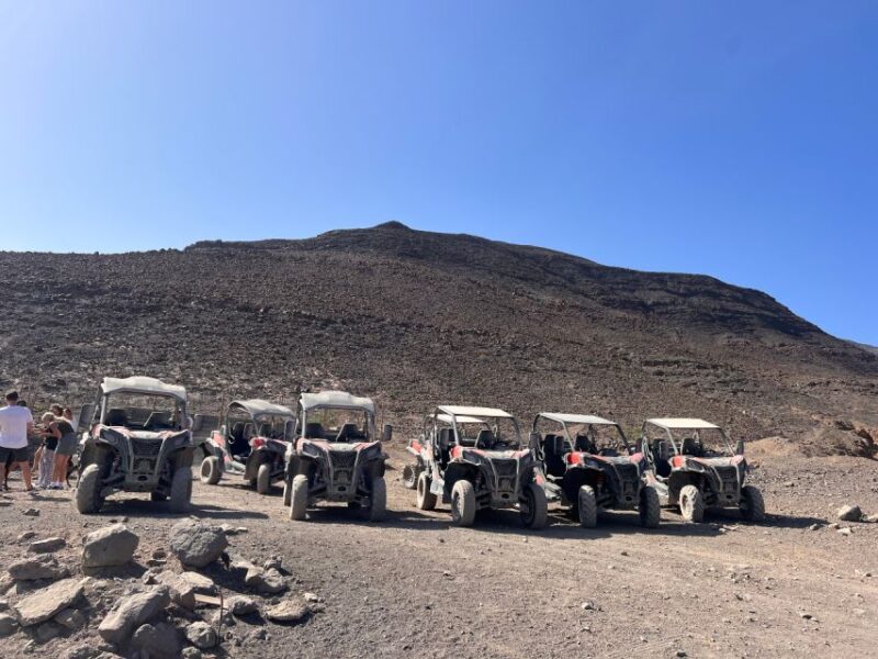 Fuerteventura : 2 hours Buggy Tour in Punta de Jandía - The Experience Guide: Languages and Group Size