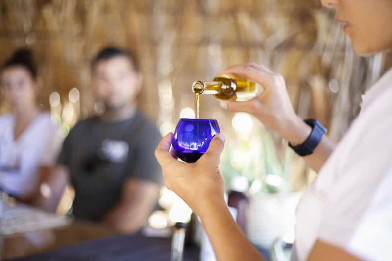 Fuerteventura Aloe & Olivo Tour with Optional Lunch - Key Points