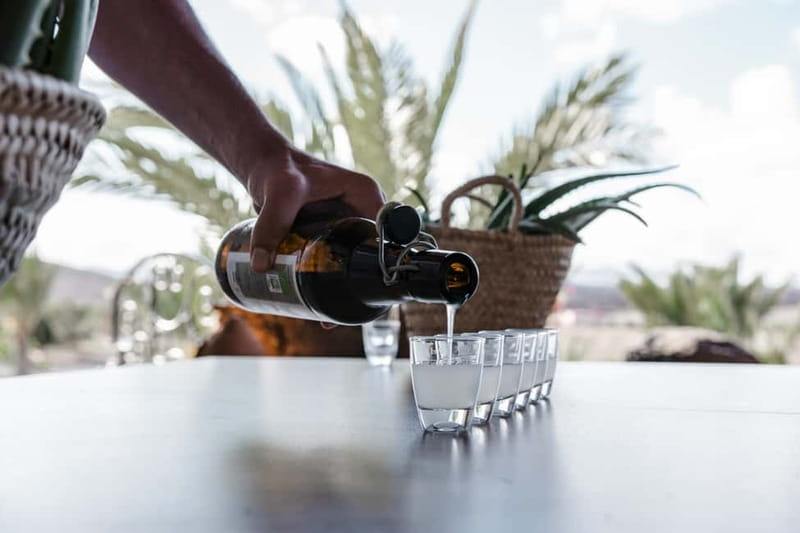 Fuerteventura Aloe & Olivo Tour with Optional Lunch - Permaculture Garden: A Tropical Oasis