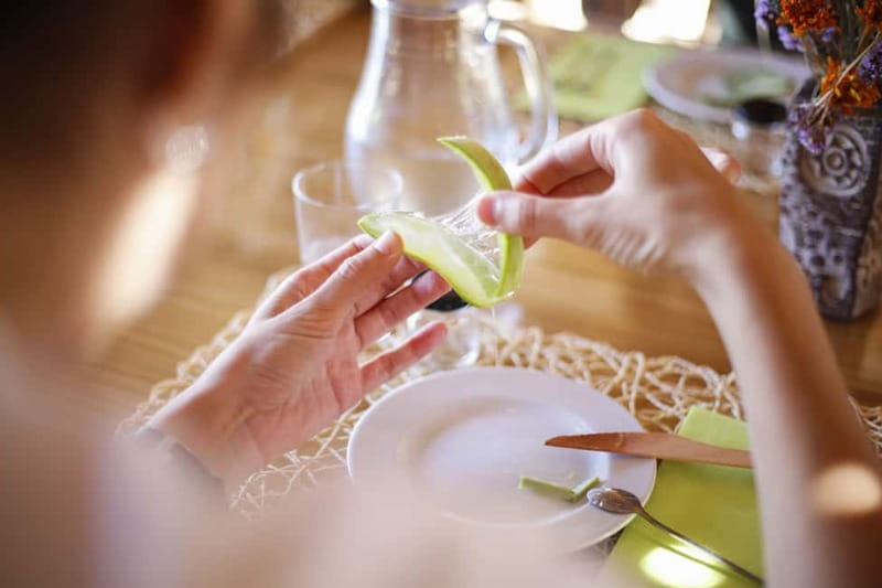 Fuerteventura Aloe & Olivo Tour with Optional Lunch - Who Will Enjoy This Experience?