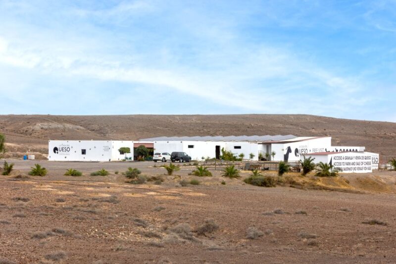 Fuerteventura: Artisan Goat's Cheese Making at Local Farm - What’s Included in the Experience?