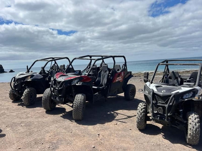 Fuerteventura: Can am buggy experience Costa Calma - Key Points