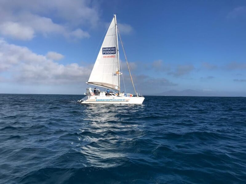 Fuerteventura : Catamaran excursion to Lobos Island - Scenic Sailing Around Lobos Island