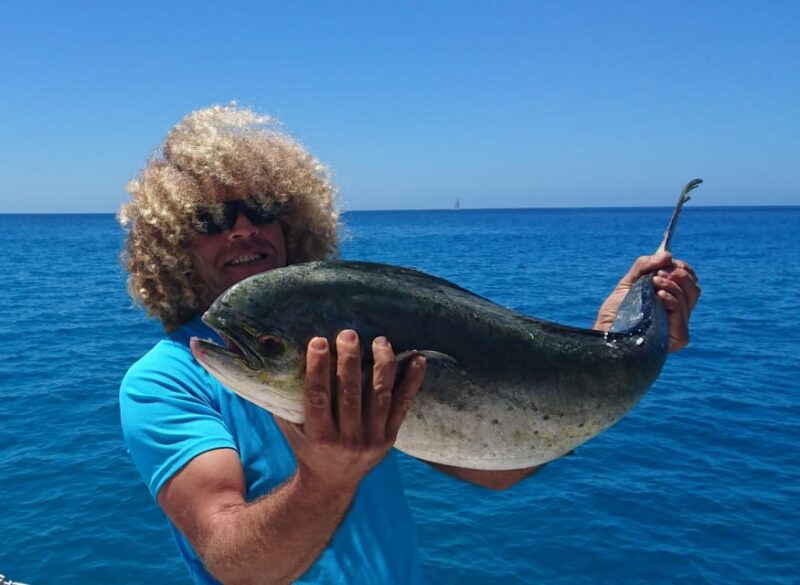Fuerteventura: Catamarán navegación a vela y delfines. - Summary of What Makes This Tour Stand Out
