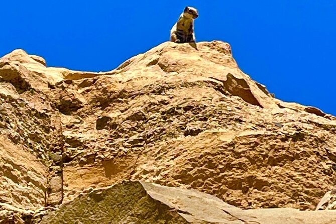 Fuerteventura: Discover Fuerteventura GRAND Islandtour - Discovering Betancuria Old Town: The Island’s Cultural Heart