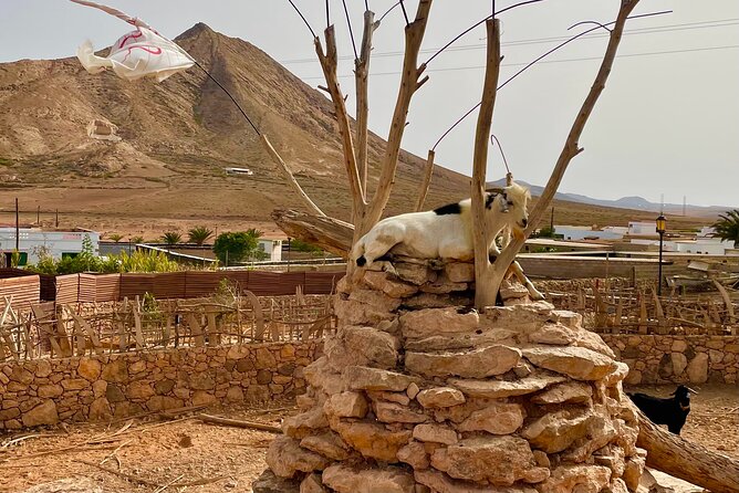 Fuerteventura: Discover Fuerteventura GRAND Islandtour - Crossing the Guanche Border: A Historical Landmark