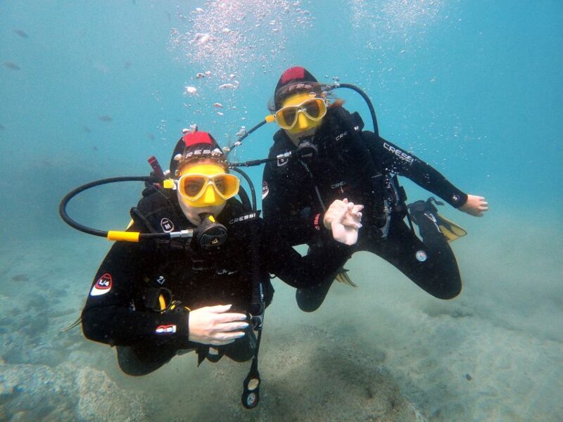 Fuerteventura: Discover Scuba Diving - The Ocean Dive: What You Can Expect to See