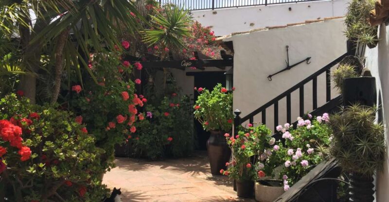 Fuerteventura: Discovery Tour - The Specifics of the Fuerteventura Discovery Tour