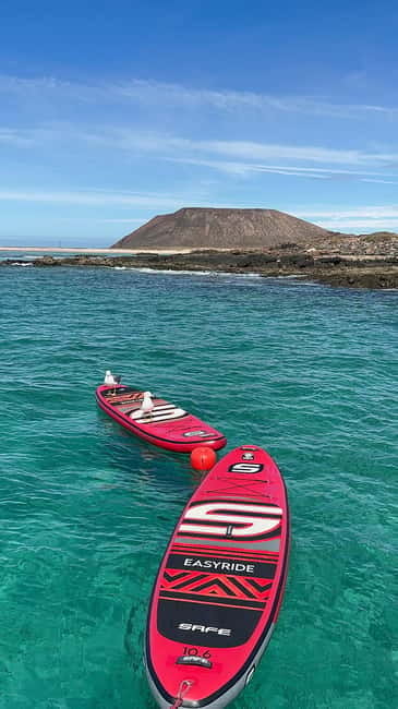 Fuerteventura: Dolphin watching and Lobo Island Combo Cruise - Fuerteventura: Dolphin watching and Lobo Island Combo Cruise