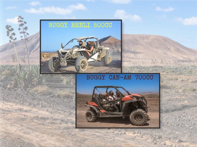 Fuerteventura: Dune Buggy Tour in Northern Fuerteventura - Discover the Excitement of the Dune Buggy Tour in Northern Fuerteventura