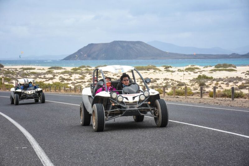 Fuerteventura: Dune Buggy Tour in Northern Fuerteventura - Who Would Enjoy This Tour the Most?