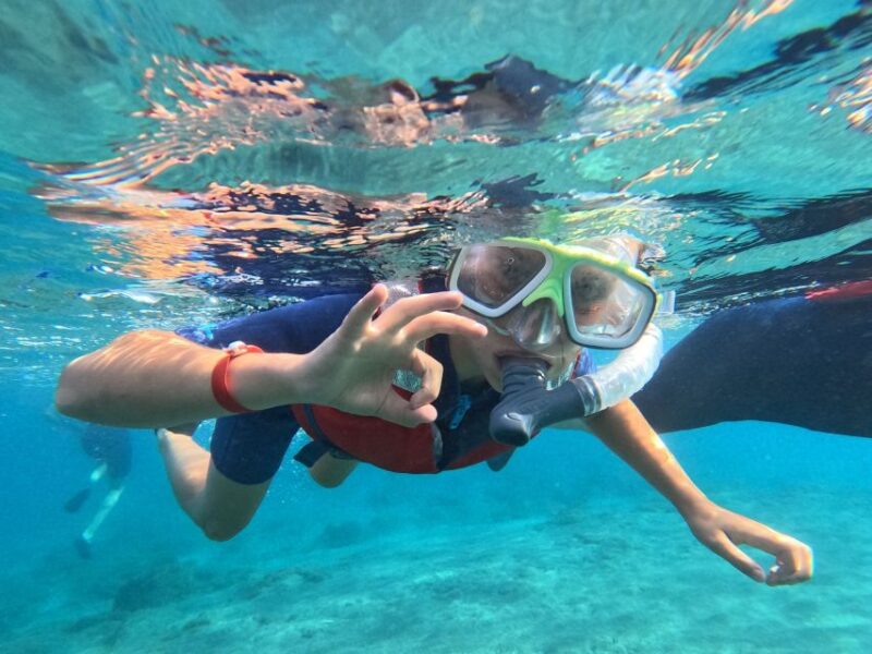 Fuerteventura: Guided Snorkeling in La Lajita with Pickup - Frequently Asked Questions
