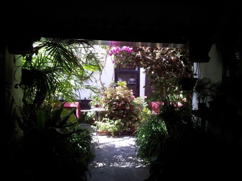 Fuerteventura: Island Tour by Minibus - Comparing this Tour to Other Fuerteventura Experiences