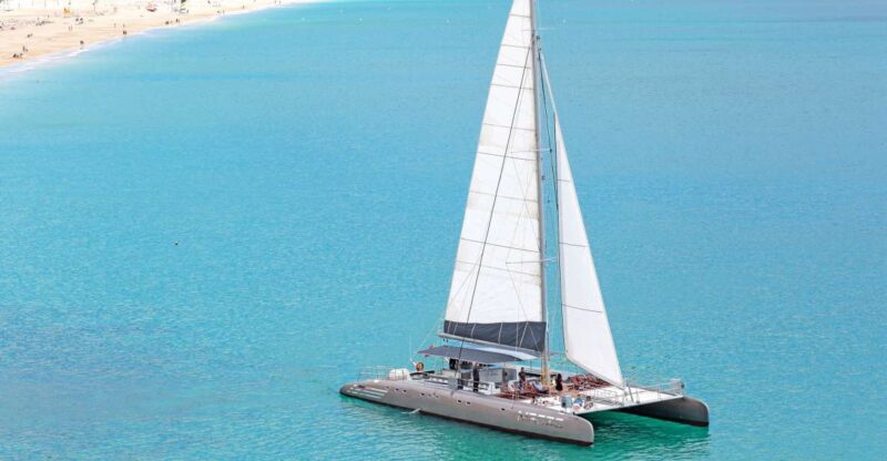 Fuerteventura: Magic Catamaran Trip with Food and Drinks - Dolphin and Whale Watching: A Highlight