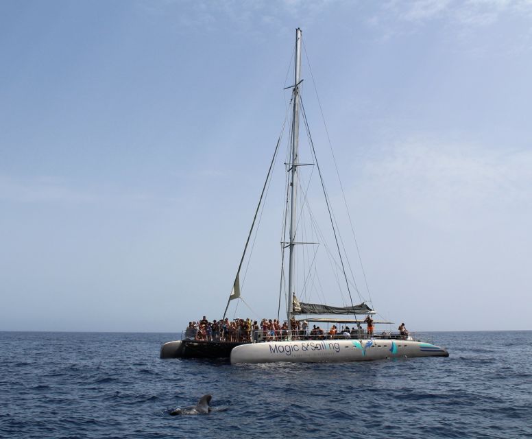 Fuerteventura: Magic Catamaran Trip with Food and Drinks - The Atmosphere and Crew: Friendly and Engaging