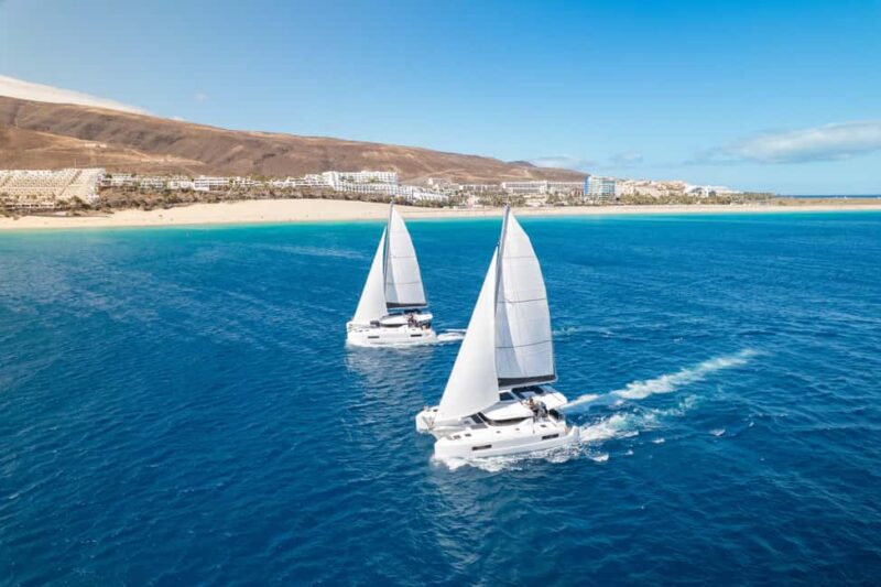Fuerteventura: Magic Dreams Luxury Catamaran with dolphin watching. - Key Points