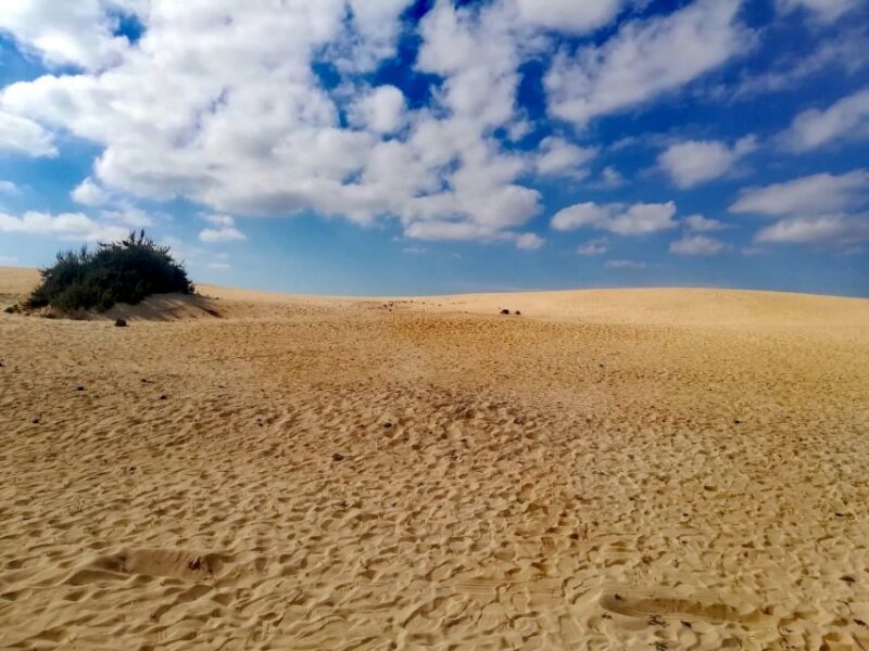 Fuerteventura: North of Fuerteventura for Cruise Passengers - Explore Fuerteventura’s North with a Local Guide for Cruise Passengers