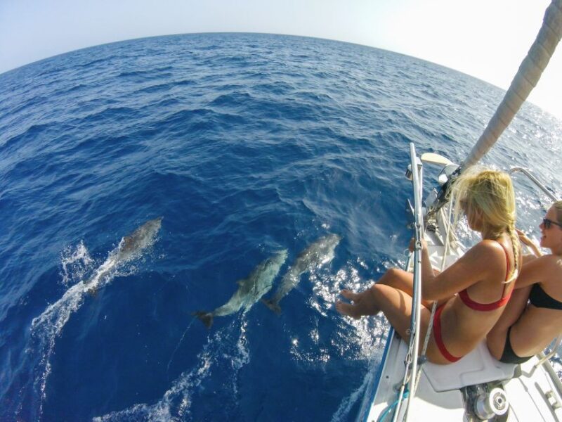 Fuerteventura: Sailing with Snorkeling and Dolphin Watching - Weather, Equipment, and Practical Tips