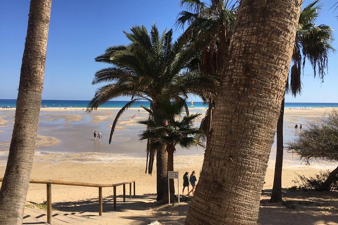 Fuerteventura South Exclusive Tour - Sunbathing and Relaxation at Playa de Sotavento de Jandia