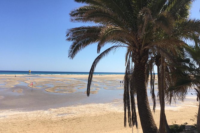 Fuerteventura South Exclusive Tour - Transportation and Group Size