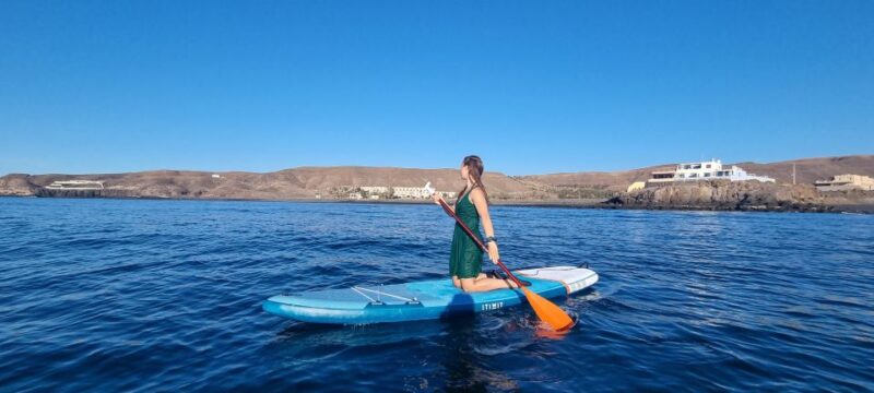 Fuerteventura : Stand Up Paddle - Pick-up & Drop-off at Fuerteventura’s Prime Tourist Spots