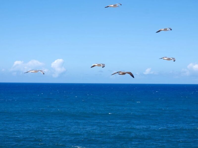 Fuerteventura sunset hike to the wild west coast - Key Points