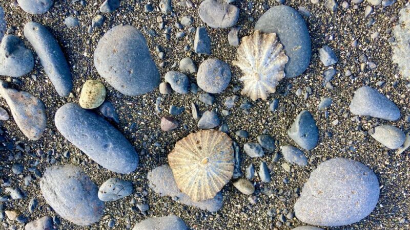 Fuerteventura sunset hike to the wild west coast - Watching the Sunset in the Untouched Wilderness
