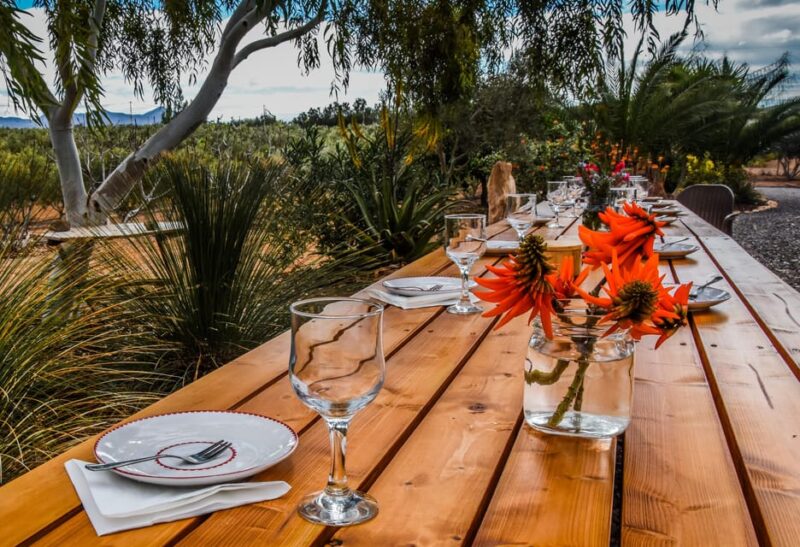 Fuerteventura: Tapas and Local Life Guided Tour - Key Points