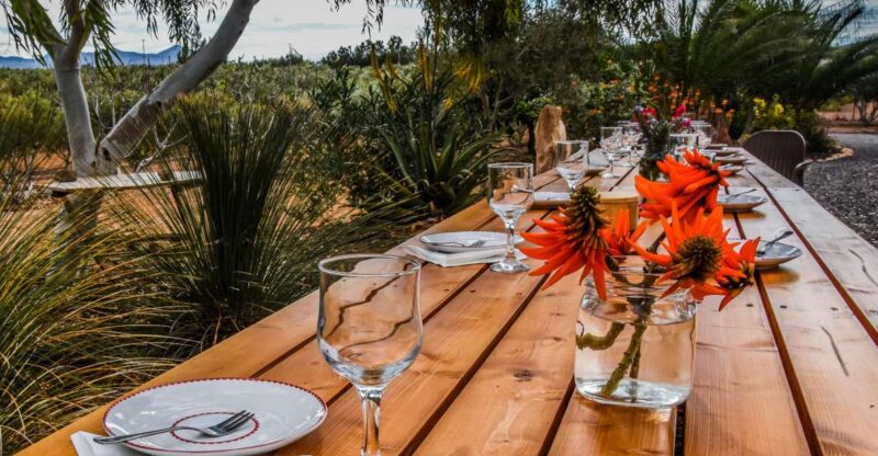 Fuerteventura: Tapas and Local Life Guided Tour - Sampling Award-Winning Goat Cheese and Regional Snacks