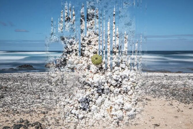 Fuerteventura: The Panoramic Experience. ALL historic highlights. - Exploring Betancuria Old Town and Its Historic Charm