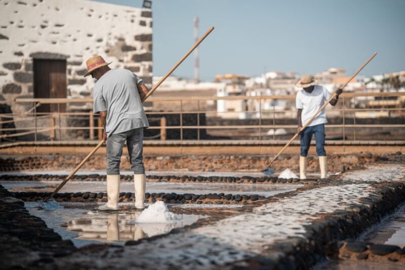 Fuerteventura: Tickets to Salt, Cheese and Windmill Museums - Discover the Salt Museum Salinas del Carmen in Antigua