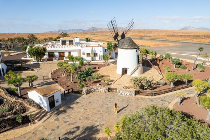 Fuerteventura: Tickets to Salt, Cheese and Windmill Museums - Learning About Windmills at Centro de Interpretación de los Molinos