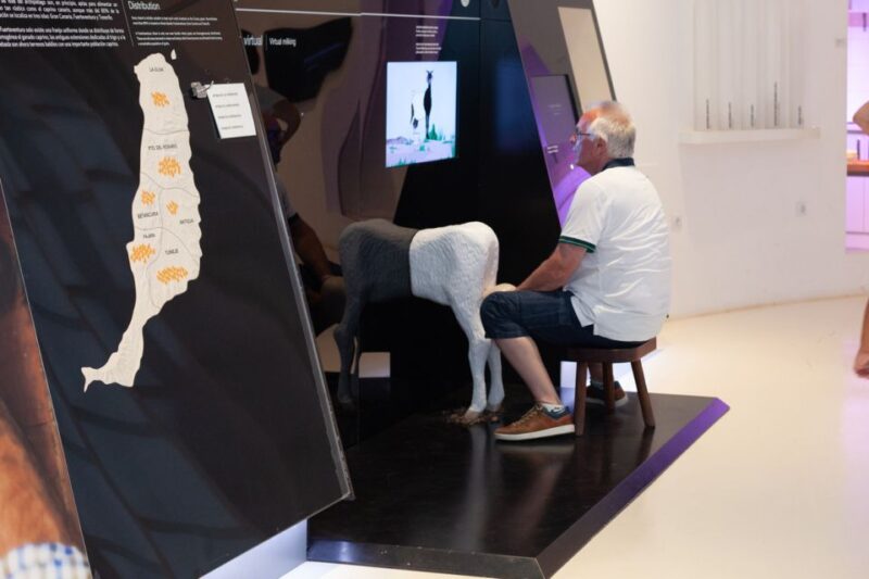 Fuerteventura: Tickets to Salt, Cheese and Windmill Museums - Visiting at Your Own Pace and Flexibility