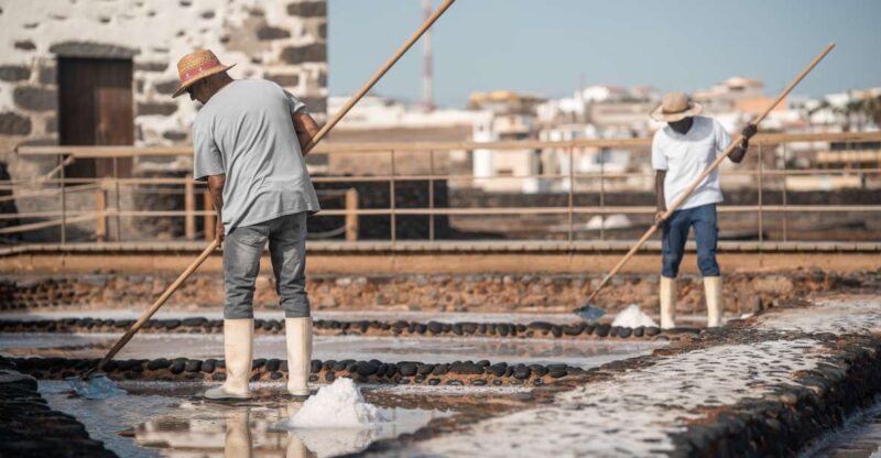 Fuerteventura: Tickets to Salt, Cheese and Windmill Museums - Price, Cancellation Policy, and Booking Flexibility