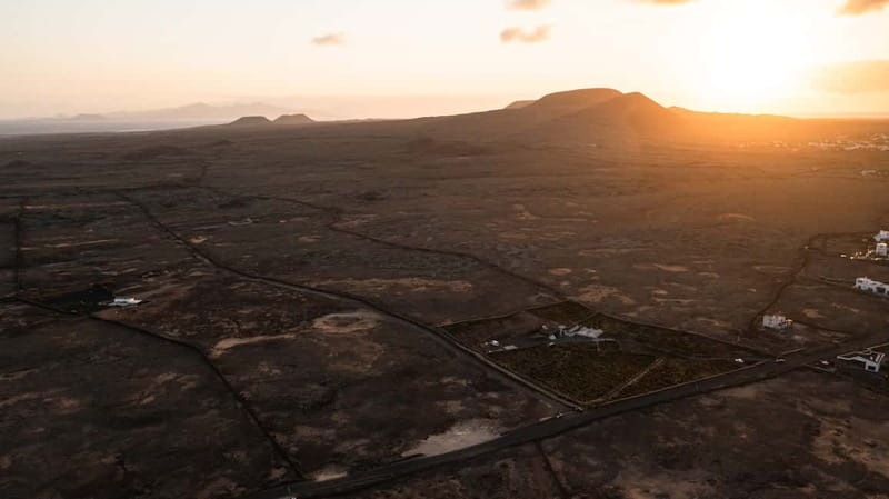 Fuerteventura: Tour & tasting at Conatvs Winery - Walking Through the Vineyard: Cultivation and Grape Varieties